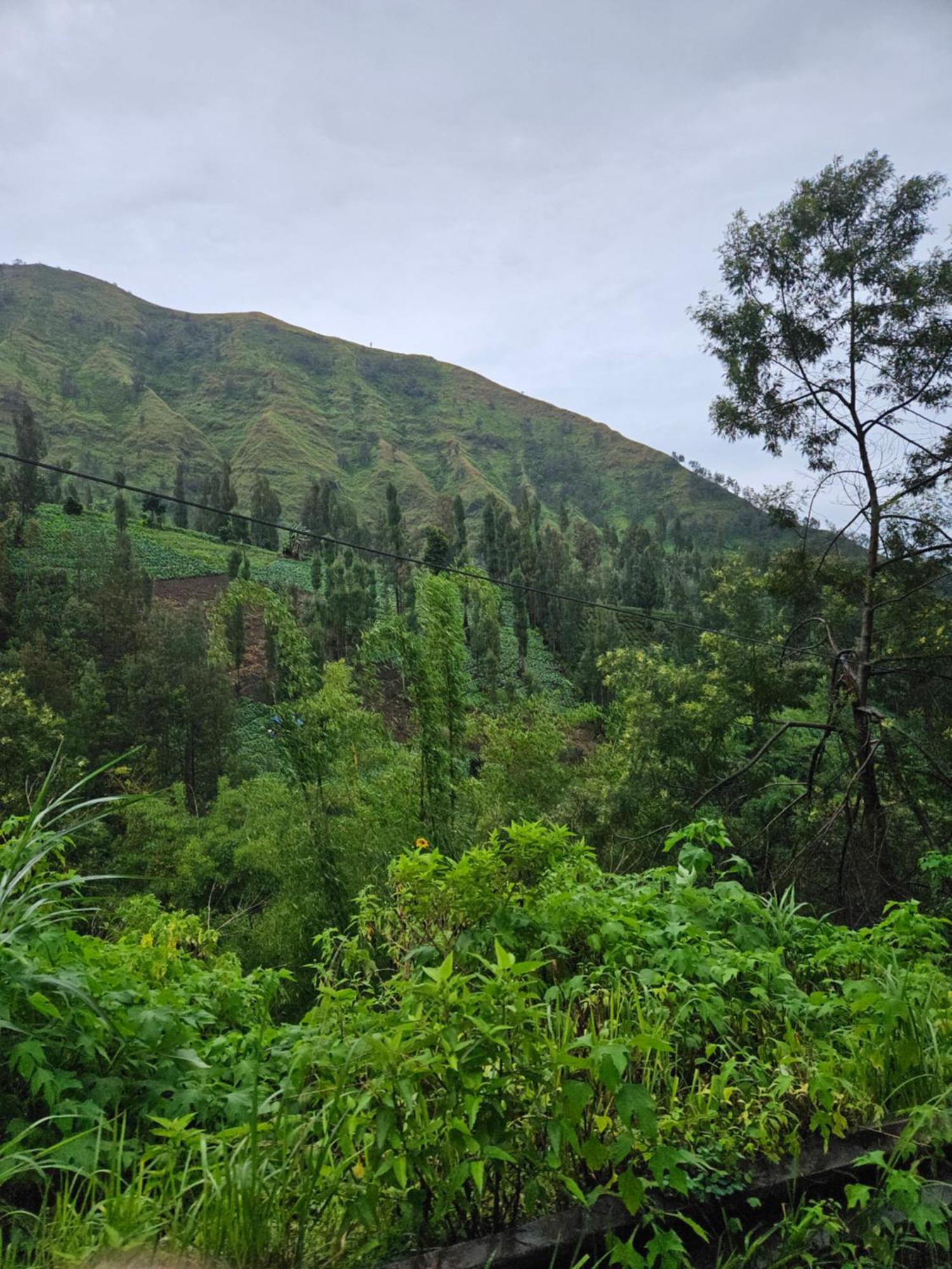 Arum Bromo Villas Ngadisari Dış mekan fotoğraf