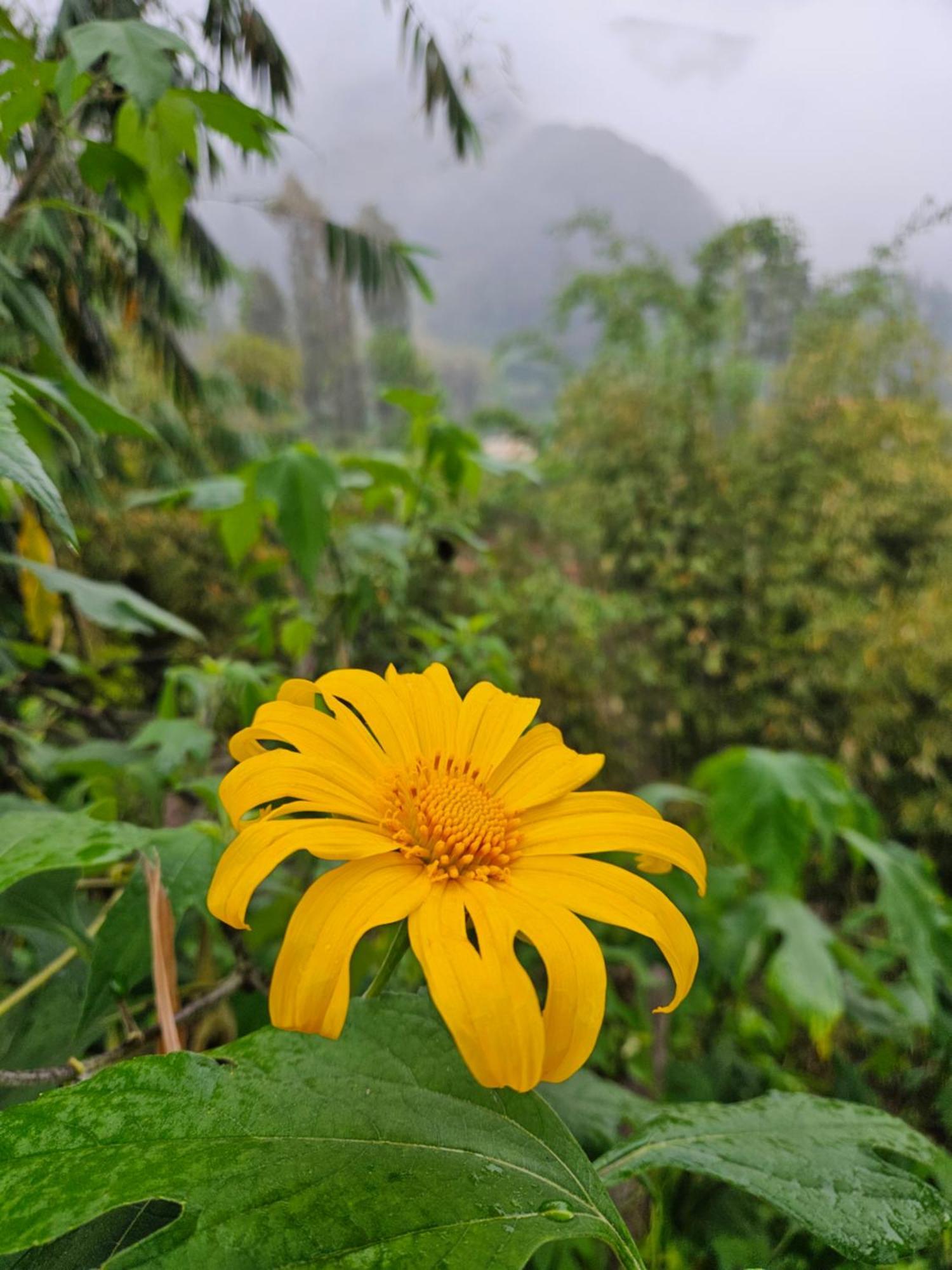 Arum Bromo Villas Ngadisari Dış mekan fotoğraf